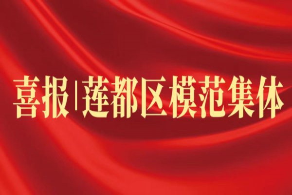 喜報丨浙江中立建設(shè)榮獲蓮都區(qū)“模范集體”稱號！